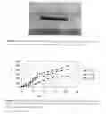 Fig. 13 - Polysaccharide microparticles containing biological agents: their preparation and applications