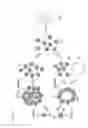 Fig. 20 - Production method of drug containing composite particle
