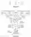 Fig. 35 - Organic and Inorganic Light Active Devices and Methods for Making the Same