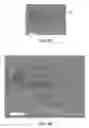 Fig. 08 - Compositions and methods to fabricate a photoactive substrate suitable for shaped glass structures