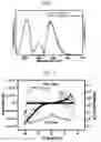 Fig. 06 - Dendrimer with triphenylamine core, organic memory device having the same, and manufacturing method thereof