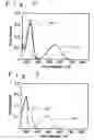 Fig. 04 - Display Medium and Displaying Method