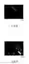 Fig. 13 - LIQUID DEVELOPING AGENT, METHOD OF PRODUCING THE SAME AND METHOD OF PRODUCING DISPLAY DEVICE