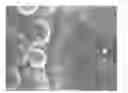 Fig. 01 - Process for preparing a nano-carbon material field emission cathode plate