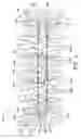 Fig. 23 - Orthodontic apparatus and method