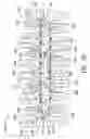 Fig. 24 - Orthodontic apparatus and method