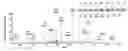 Fig. 01 - Composition and method for modulating an inflammatory response