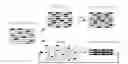 Fig. 01 - Method of DNA Shuffling with Polynucleotides Produced by Blocking or Interrupting a Synthesis or Amplification Process