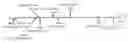Fig. 01 - Polymorphisms in the Fcgr2b Promoter and Uses Thereof
