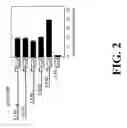 Fig. 03 - Polymorphisms in the Fcgr2b Promoter and Uses Thereof