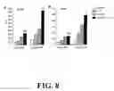 Fig. 09 - Polymorphisms in the Fcgr2b Promoter and Uses Thereof