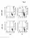 Fig. 08 - Method for Improved Selection of Rnai Transfectants