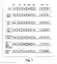 Fig. 02 - Methods and Compositions for Modulating Gluconeogenesis Using PGC-1