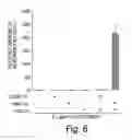 Fig. 07 - Methods and Compositions for Modulating Gluconeogenesis Using PGC-1