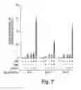 Fig. 08 - Methods and Compositions for Modulating Gluconeogenesis Using PGC-1