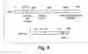 Fig. 09 - Methods and Compositions for Modulating Gluconeogenesis Using PGC-1