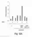 Fig. 13 - Methods and Compositions for Modulating Gluconeogenesis Using PGC-1