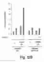 Fig. 14 - Methods and Compositions for Modulating Gluconeogenesis Using PGC-1