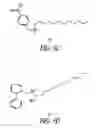 Fig. 11 - METHODS TO QUENCH LIGHT FROM OPTICAL REACTIONS