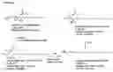 Fig. 01 - Methods for detection of lysosomal storage disease