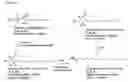 Fig. 01 - Methods for detection of lysosomal storage disease