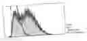 Fig. 01 - Method for Using Division Arrested Cells in Screening Assays