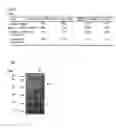 Fig. 07 - AMP deaminase originating streptomyces and utilization thereof