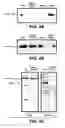 Fig. 04 - Twin-arginine translocation in 