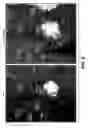 Fig. 05 - Twin-arginine translocation in 
