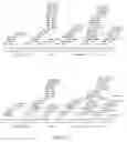 Fig. 07 - Method of making novel erythrovirus V9 VP2 capsid polypeptides