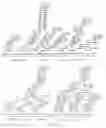 Fig. 08 - Method of making novel erythrovirus V9 VP2 capsid polypeptides