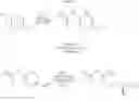 Fig. 14 - Biocatalytic asymmetric reduction in preparation of (S)-N-[5-(1,2-dihydroxy-ethyl)-pyrazinyl]-2,2-dimethyl-propionamide