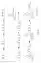 Fig. 09 - Ketoreductase enzymes and uses thereof