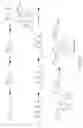 Fig. 11 - Ketoreductase enzymes and uses thereof