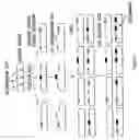 Fig. 04 - Methods And Compositions For Grafting Functional Loops Into A Protein
