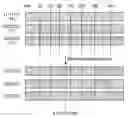 Fig. 01 - Methods for Generating Novel Stabilized Proteins