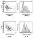 Fig. 05 - Methods for Generating Novel Stabilized Proteins