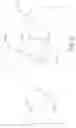 Fig. 08 - MODULATION OF PROTEIN FUNCTIONALITIES
