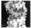 Fig. 17 - MODULATION OF PROTEIN FUNCTIONALITIES