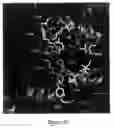 Fig. 18 - MODULATION OF PROTEIN FUNCTIONALITIES