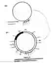 Fig. 03 - Property effecting and/or property exhibiting compositions for therapeutic and diagnostic uses