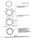 Fig. 04 - Property effecting and/or property exhibiting compositions for therapeutic and diagnostic uses