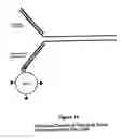Fig. 15 - Property effecting and/or property exhibiting compositions for therapeutic and diagnostic uses