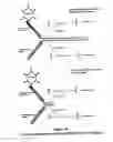 Fig. 17 - Property effecting and/or property exhibiting compositions for therapeutic and diagnostic uses