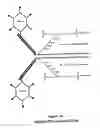 Fig. 19 - Property effecting and/or property exhibiting compositions for therapeutic and diagnostic uses