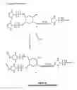 Fig. 21 - Property effecting and/or property exhibiting compositions for therapeutic and diagnostic uses