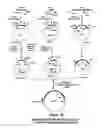 Fig. 30 - Property effecting and/or property exhibiting compositions for therapeutic and diagnostic uses