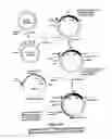 Fig. 32 - Property effecting and/or property exhibiting compositions for therapeutic and diagnostic uses