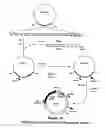 Fig. 34 - Property effecting and/or property exhibiting compositions for therapeutic and diagnostic uses