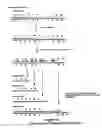 Fig. 36 - Property effecting and/or property exhibiting compositions for therapeutic and diagnostic uses